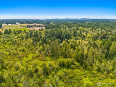 0 93rd Avenue SW, Olympia, WA 98512 - Photo 13