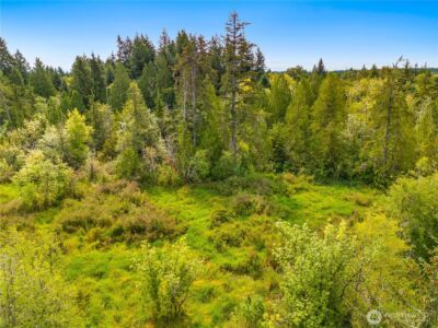 0 93rd Avenue SW, Olympia, WA 98512 - Photo 14