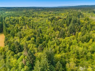 0 93rd Avenue SW, Olympia, WA 98512 - Photo 3