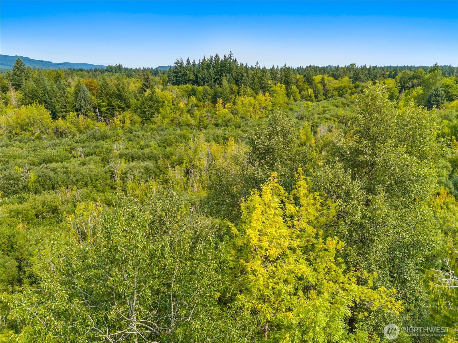 0 93rd Avenue SW, Olympia, WA 98512