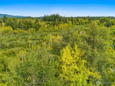 0 93rd Avenue SW, Olympia, WA 98512 - Photo 9