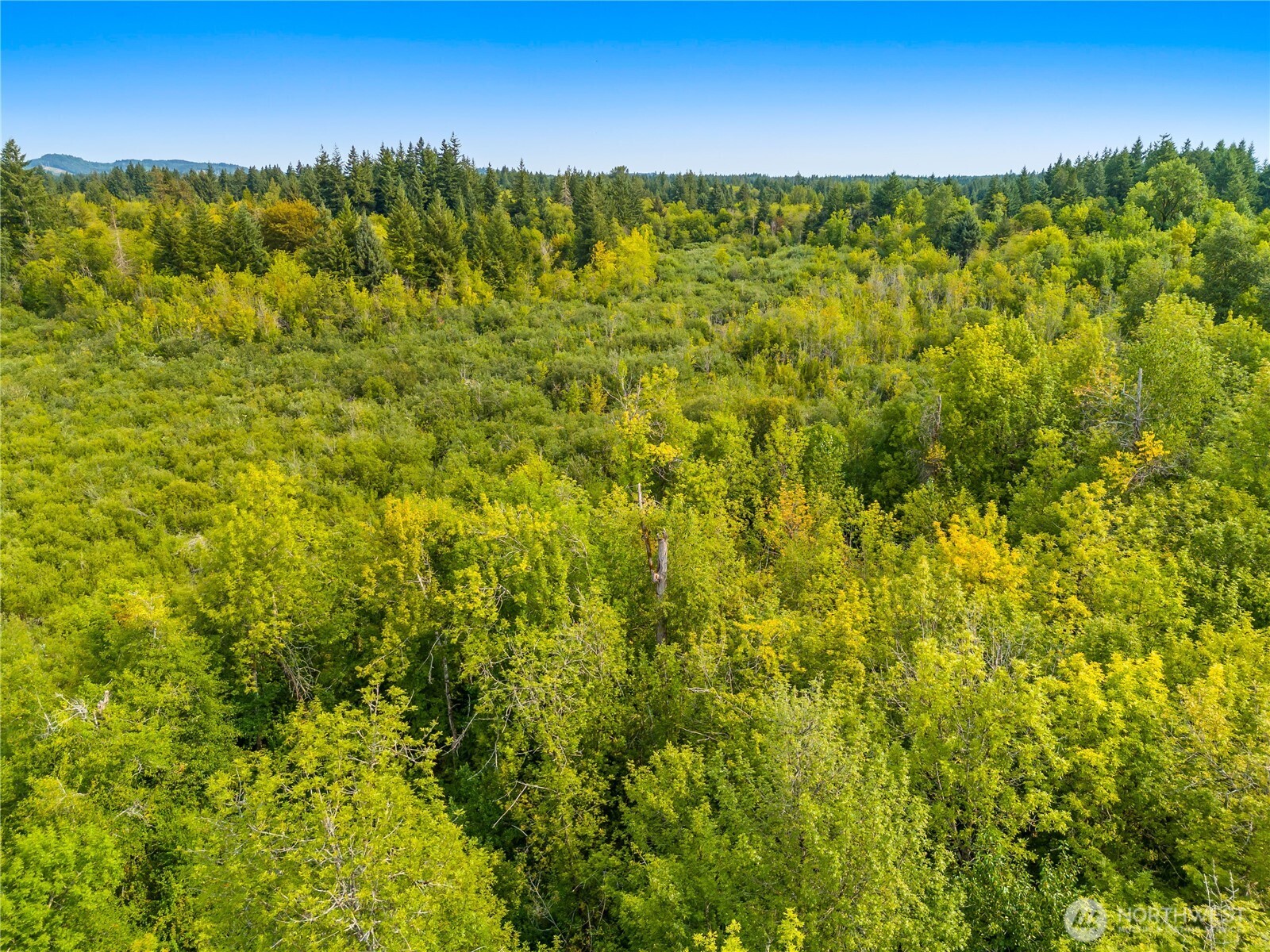 0 93rd Avenue SW, Olympia, WA 98512