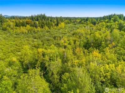 0 93rd Avenue SW, Olympia, WA 98512 - Photo 10