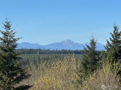 0 TR 1&2 E Agate Road , Shelton, WA 98584 - Photo 2