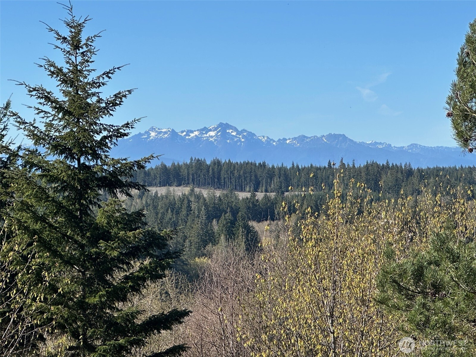 0 TR 1&2 E Agate Road , Shelton, WA 98584