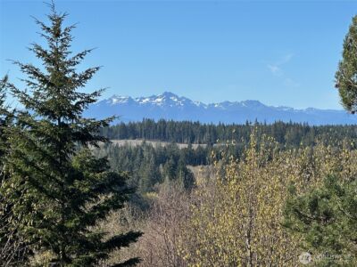 0 TR 1&2 E Agate Road , Shelton, WA 98584 - Photo 3