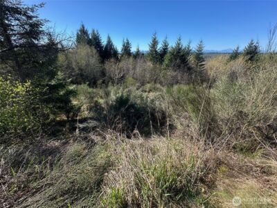 0 TR 1&2 E Agate Road , Shelton, WA 98584 - Photo 4