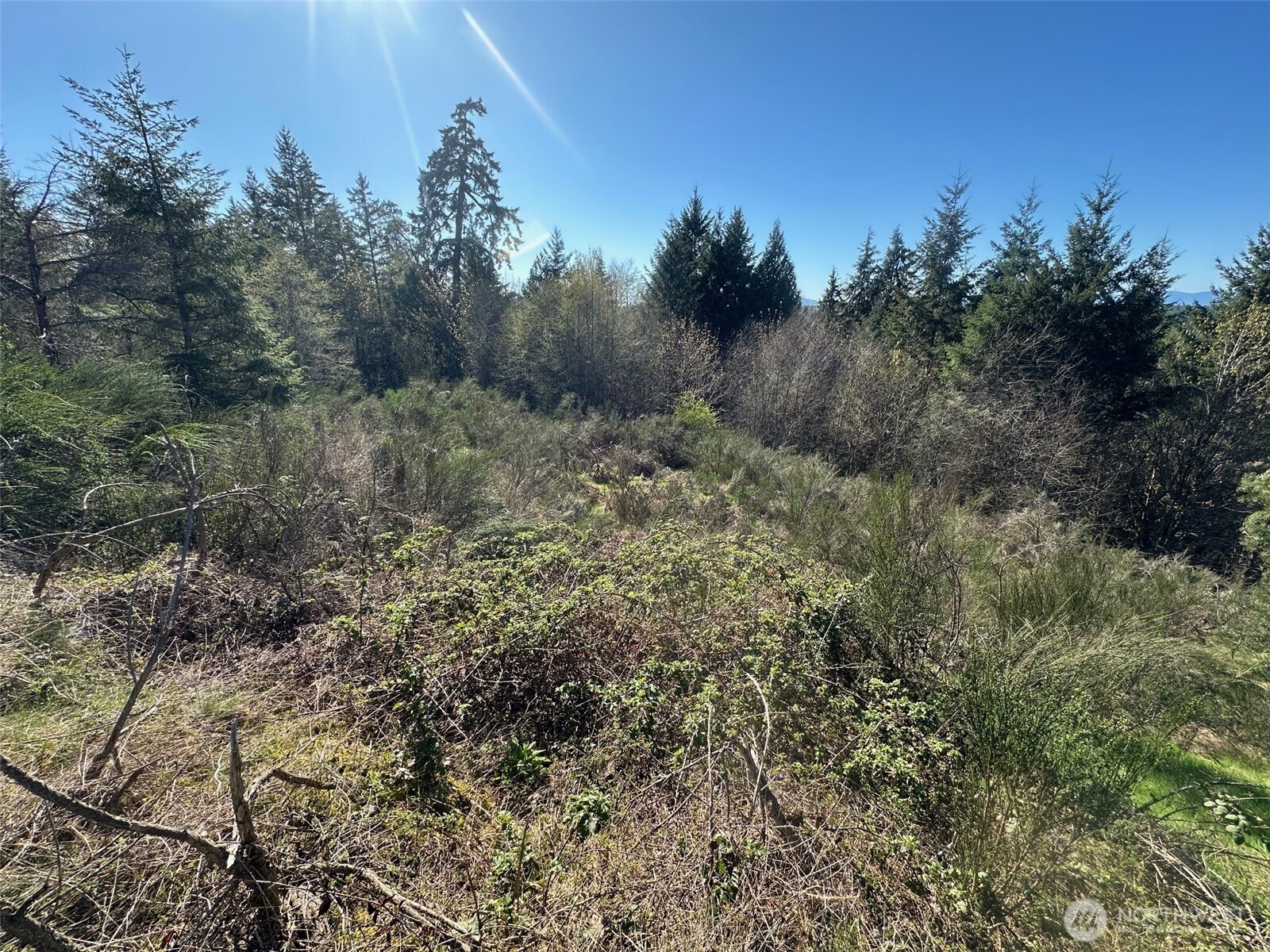 0 TR 1&2 E Agate Road , Shelton, WA 98584