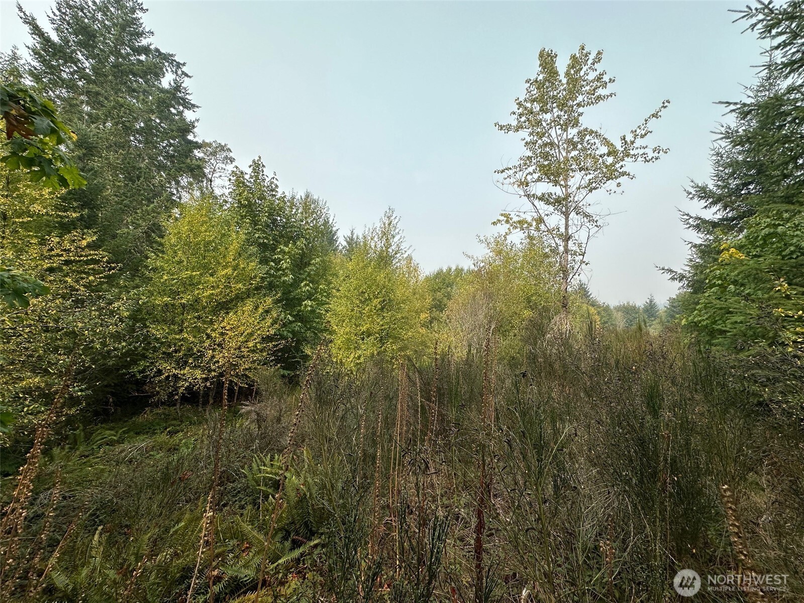 0 TR 1&2 E Agate Road , Shelton, WA 98584