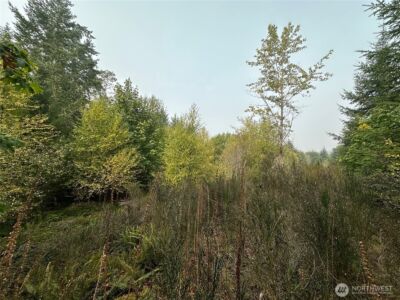 0 TR 1&2 E Agate Road , Shelton, WA 98584 - Photo 10