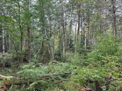 0 TR 2&3 E Agate Road , Shelton, WA 98584 - Photo 11