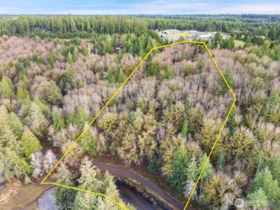 0 TR 2&3 E Agate Road , Shelton, WA 98584 - Photo 2