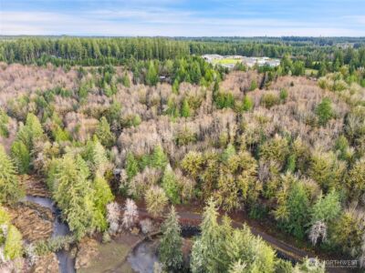 0 TR 2&3 E Agate Road , Shelton, WA 98584 - Photo 3