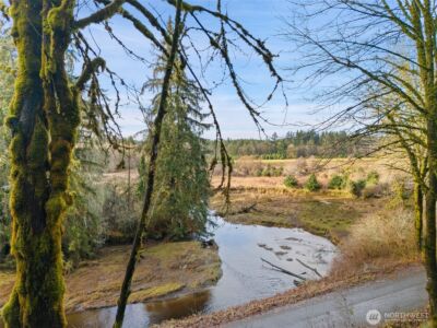 0 TR 2&3 E Agate Road , Shelton, WA 98584 - Photo 6