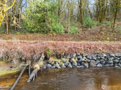 0 TR 2&3 E Agate Road , Shelton, WA 98584 - Photo 8