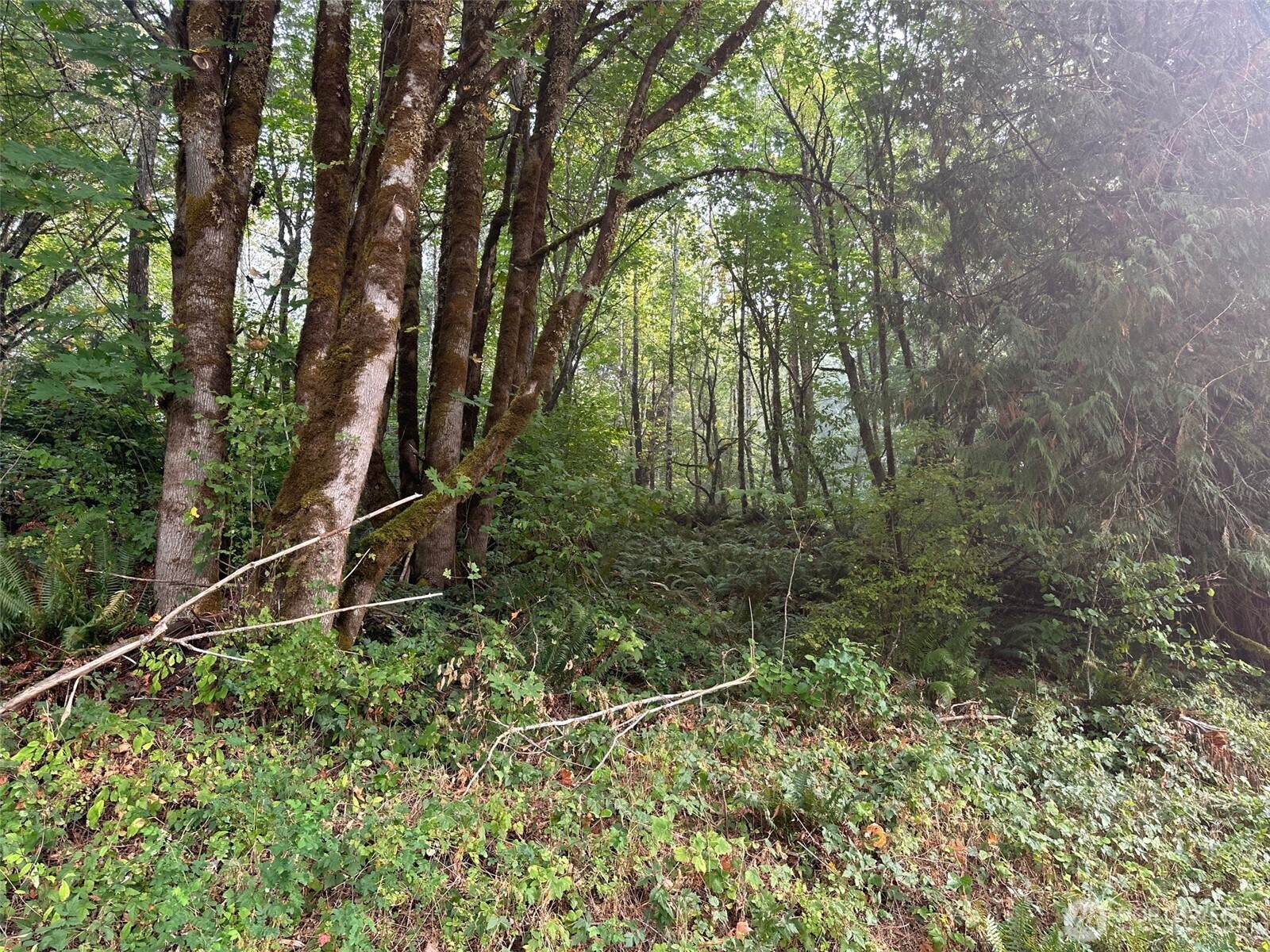 0 TR 2&3 E Agate Road , Shelton, WA 98584