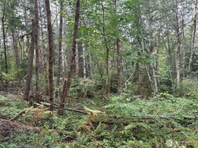 0 TR 2&3 E Agate Road , Shelton, WA 98584 - Photo 10