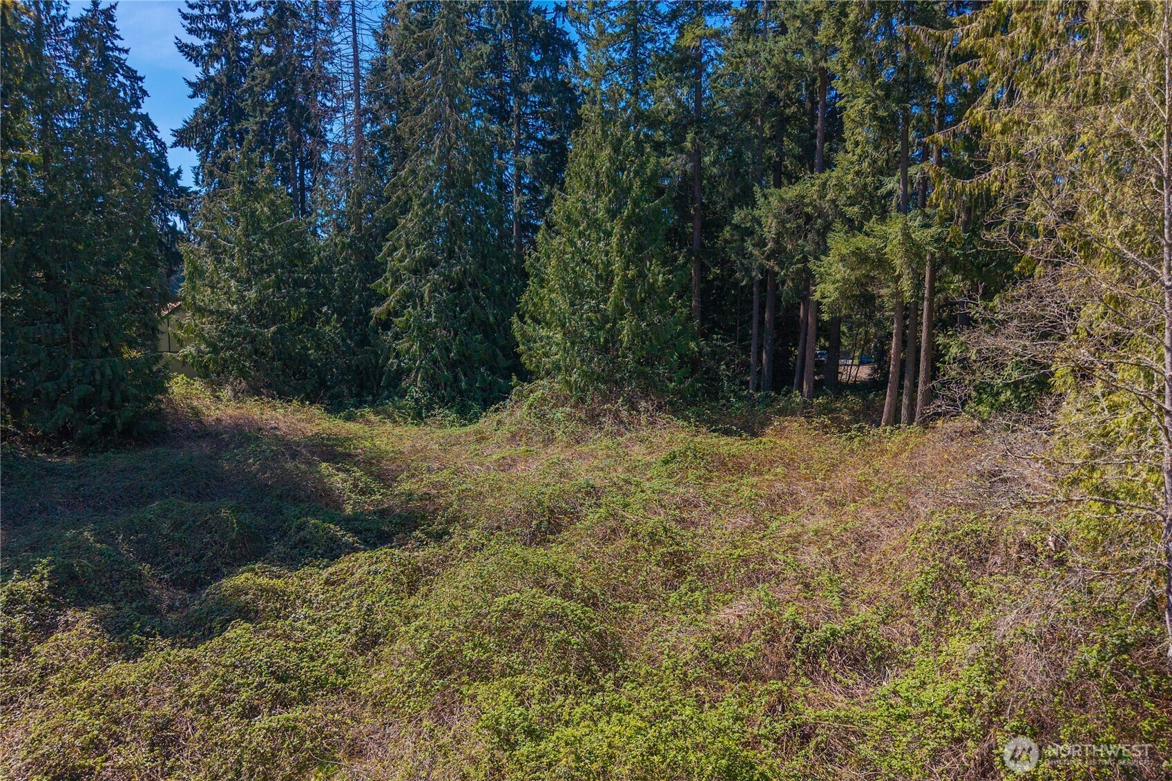 0 0000 , Tacoma, WA 98443