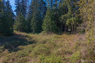 0 0000 , Tacoma, WA 98443 - Photo 4