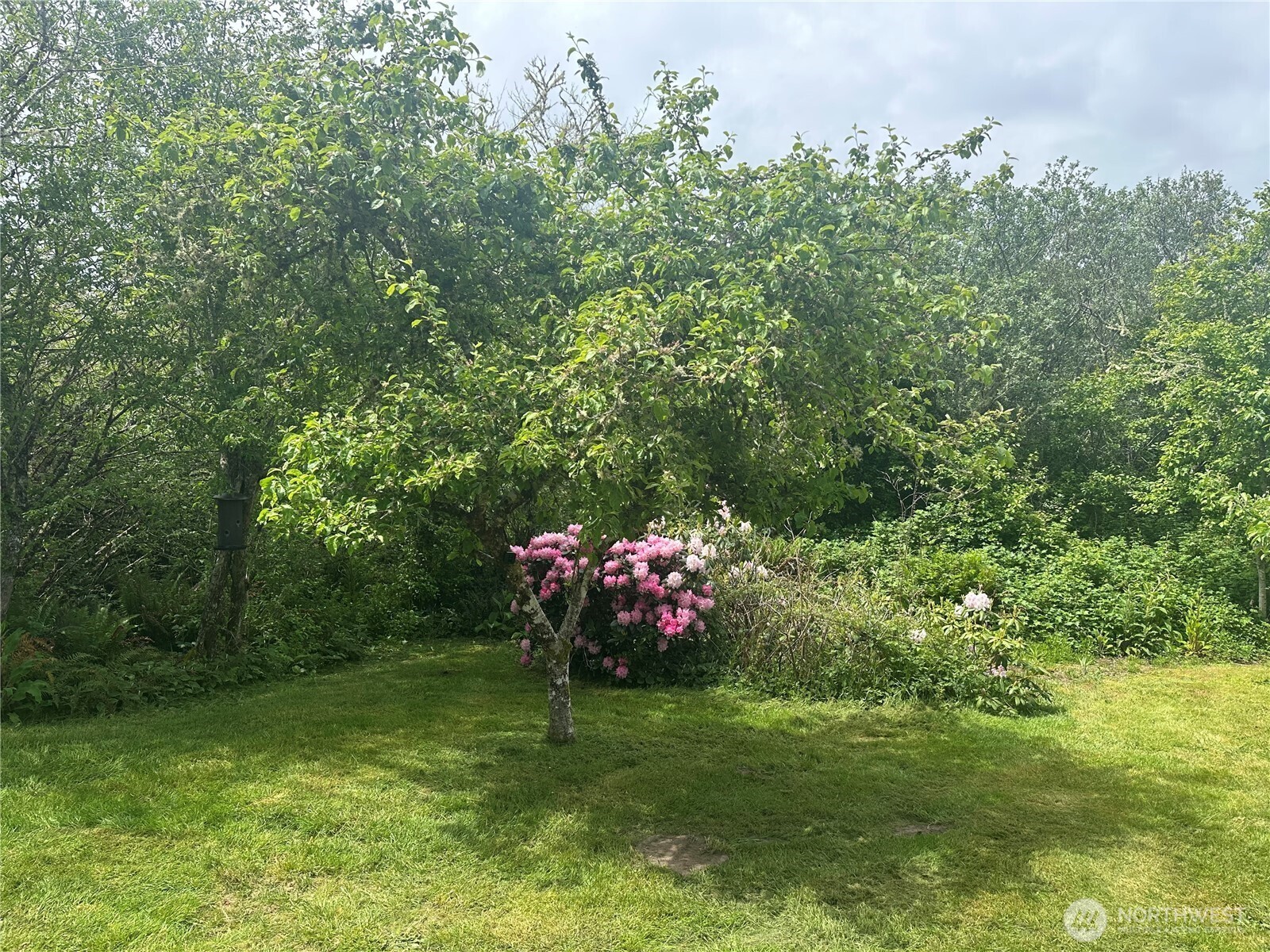 3756 State Route 105 , Tokeland, WA 98590