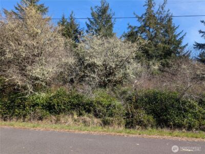 133 Cloquallum Street SE, Ocean Shores, WA 98569
