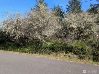 133 Cloquallum Street SE, Ocean Shores, WA 98569 - Photo 2