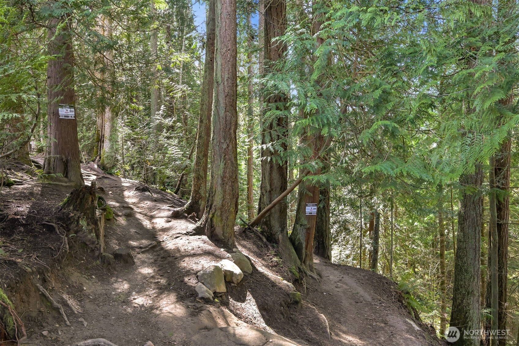 1120 Birch Falls Drive , Bellingham, WA 98229