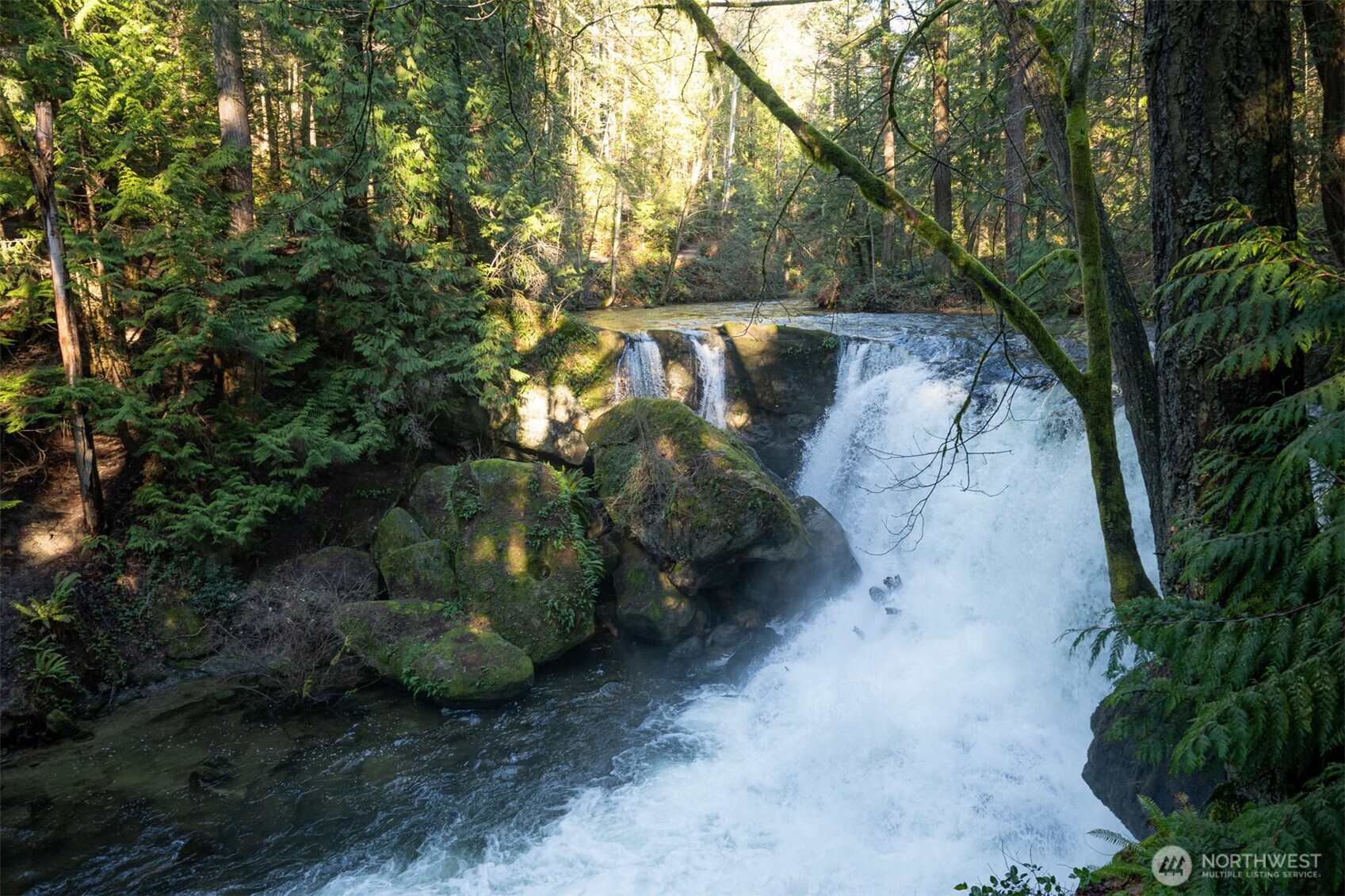 1120 Birch Falls Drive , Bellingham, WA 98229