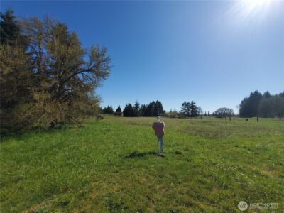 4924 165th Lane SW, Rochester, WA 98579 - Photo 20