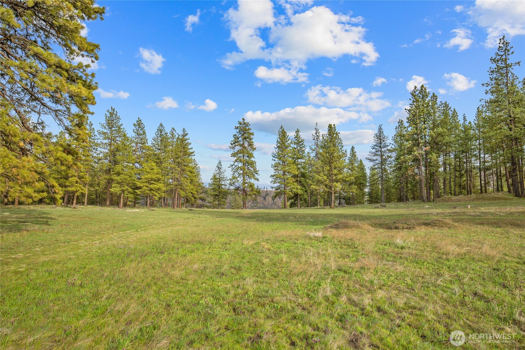 297 Swauk Pines Road , Cle Elum, WA 98922