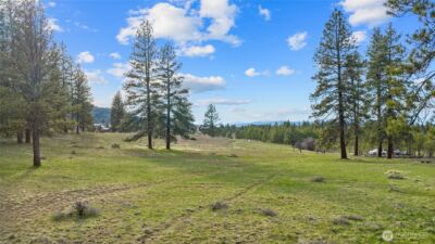 297 Swauk Pines Road , Cle Elum, WA 98922 - Photo 11