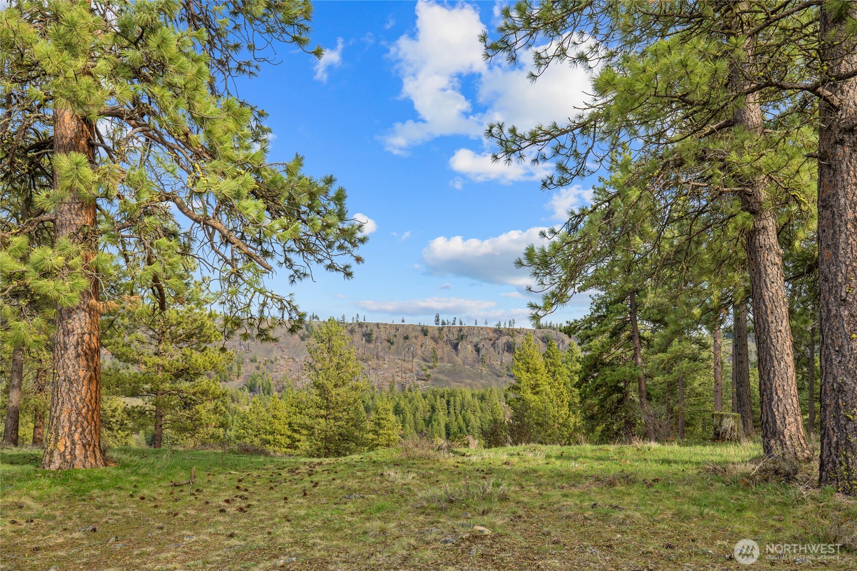 297 Swauk Pines Road , Cle Elum, WA 98922