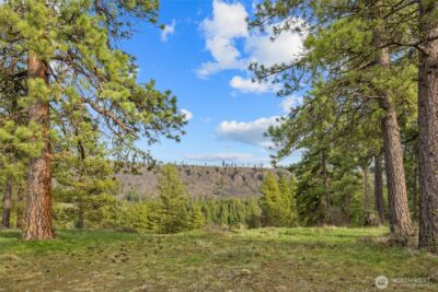 297 Swauk Pines Road , Cle Elum, WA 98922 - Photo 3