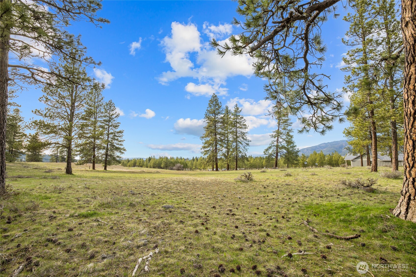 297 Swauk Pines Road , Cle Elum, WA 98922