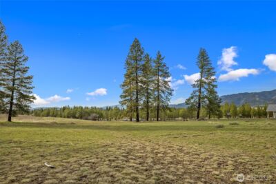 297 Swauk Pines Road , Cle Elum, WA 98922 - Photo 5