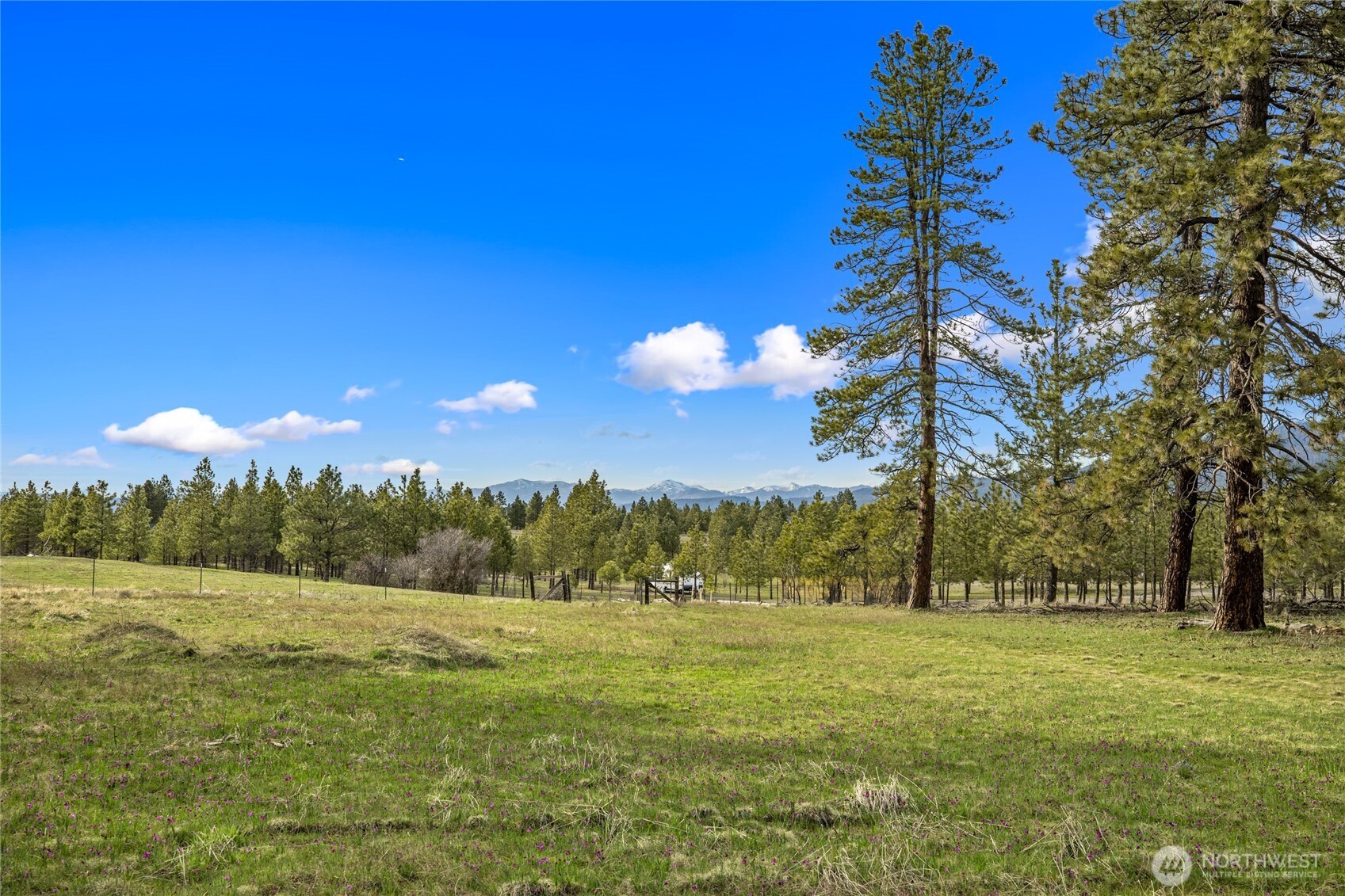 297 Swauk Pines Road , Cle Elum, WA 98922