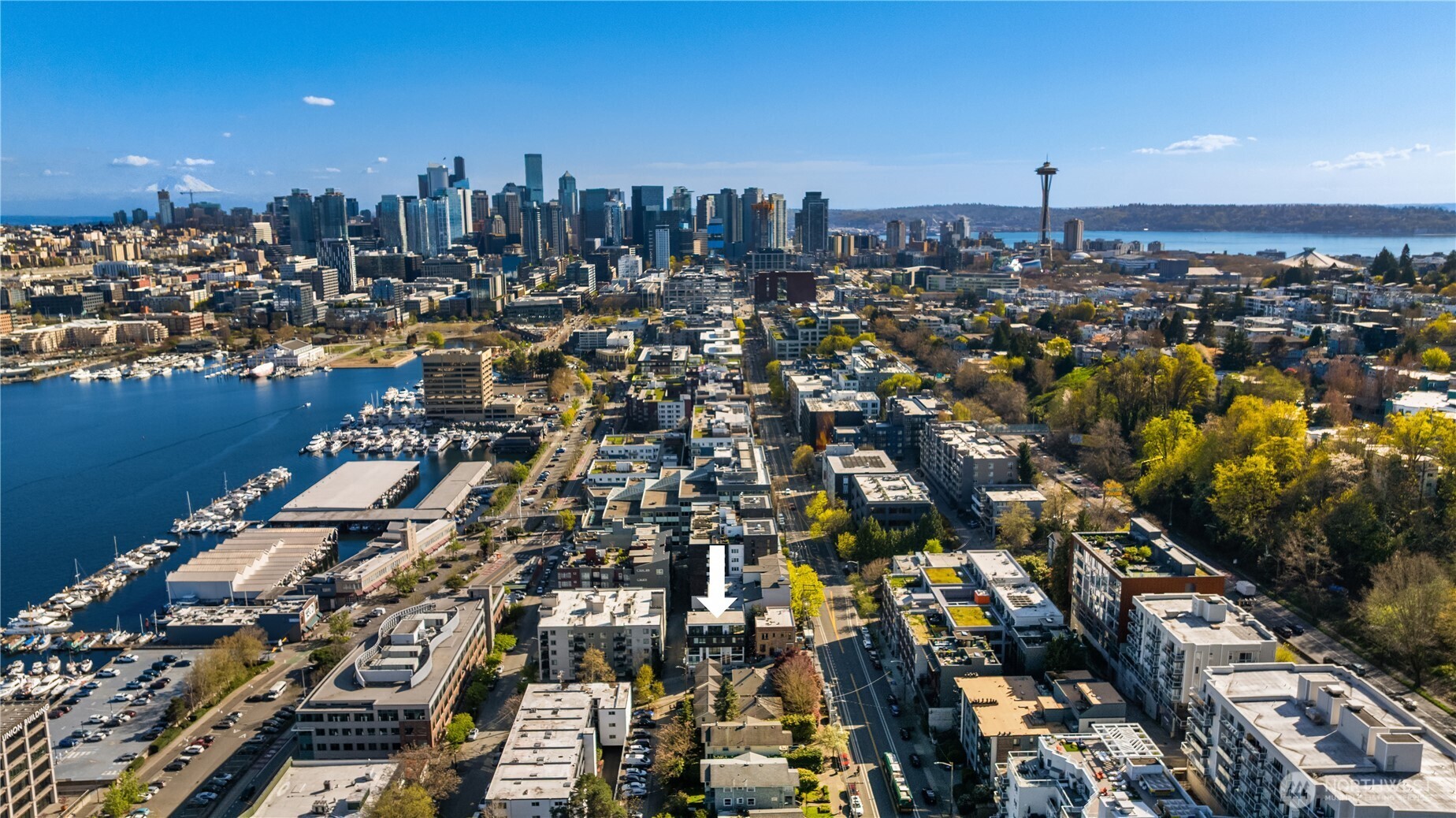 755 Hayes Street , Seattle, WA 98109