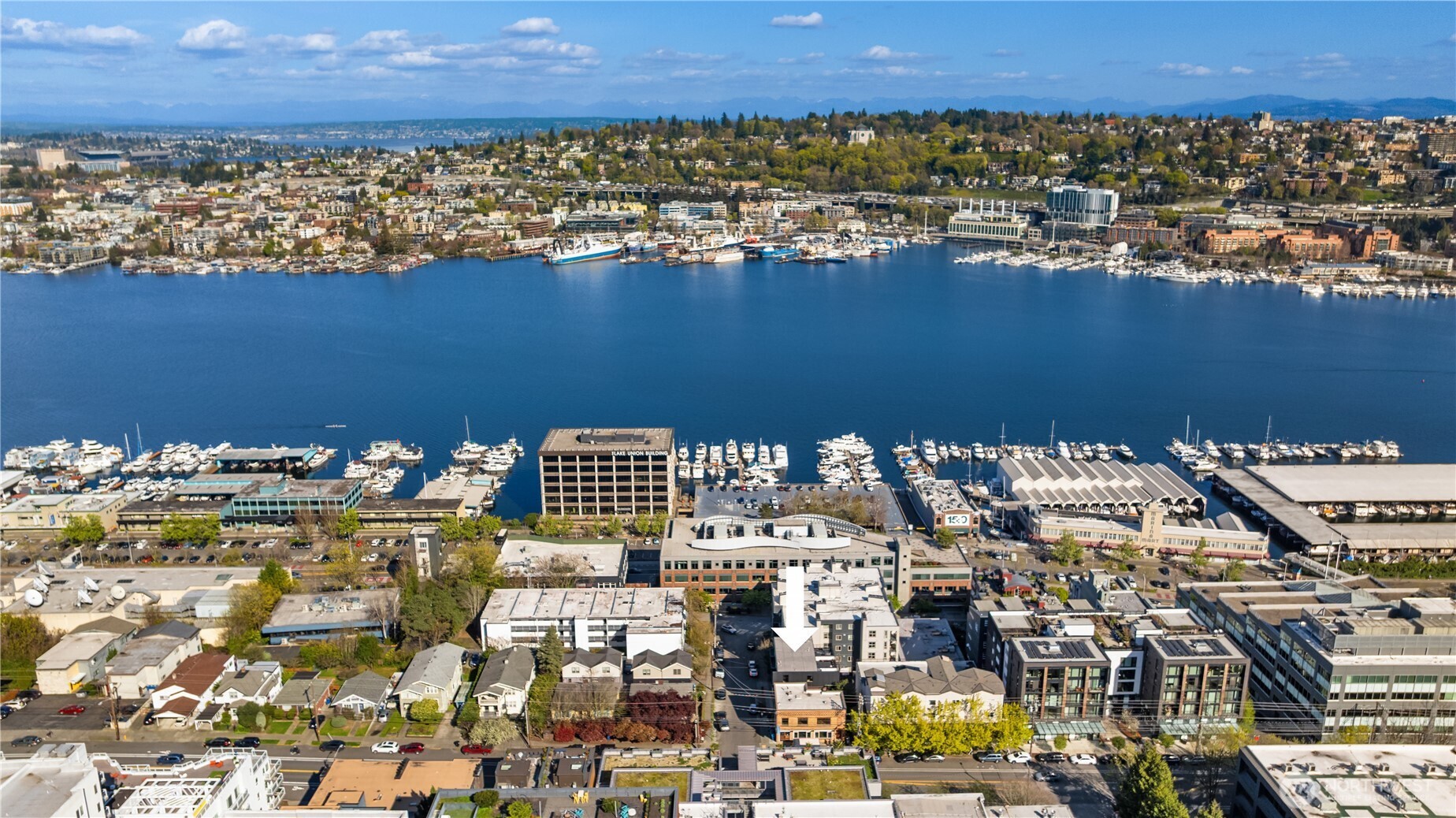 755 Hayes Street , Seattle, WA 98109