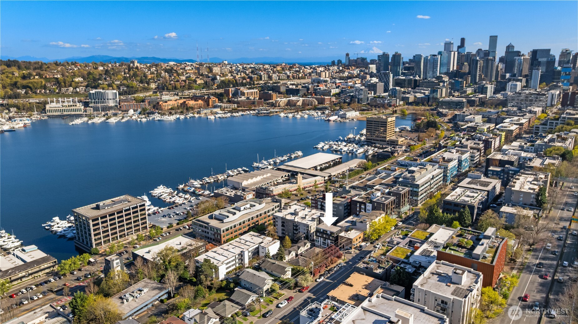 755 Hayes Street , Seattle, WA 98109