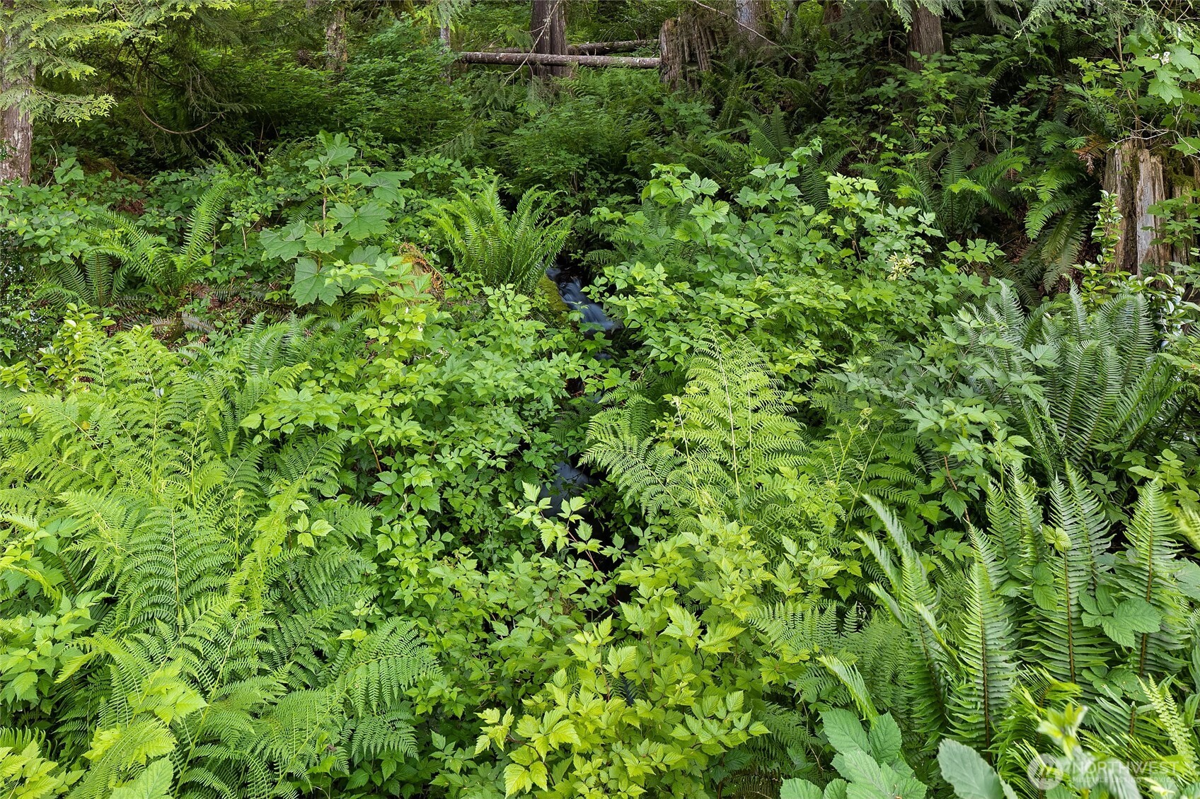 13945 409th Avenue SE, North Bend, WA 98045