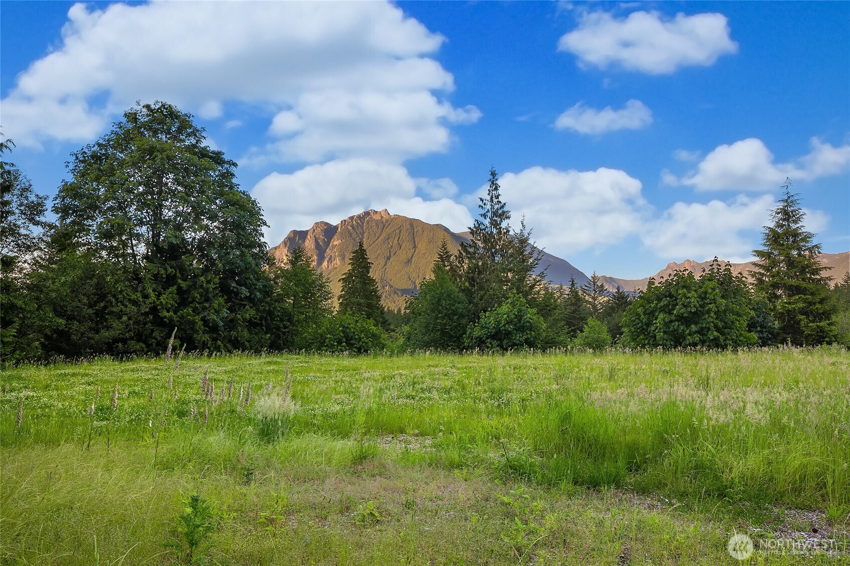 13945 409th Avenue SE, North Bend, WA 98045