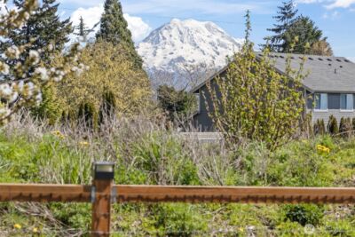 10111 252nd Street E, Graham, WA 98338 - Photo 38