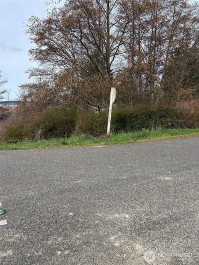 0 Halsey & Perry Drive , Coupeville, WA 98239 - Photo 3