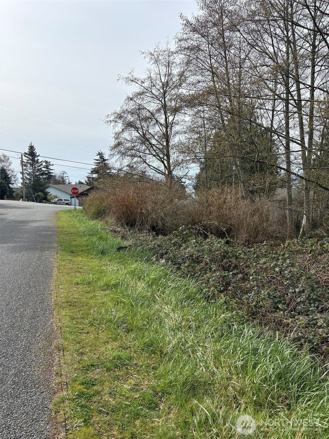 0 Halsey & Perry Drive , Coupeville, WA 98239