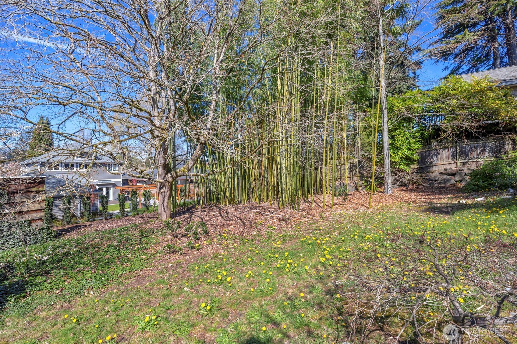 6825 43rd Avenue NE, Seattle, WA 98115