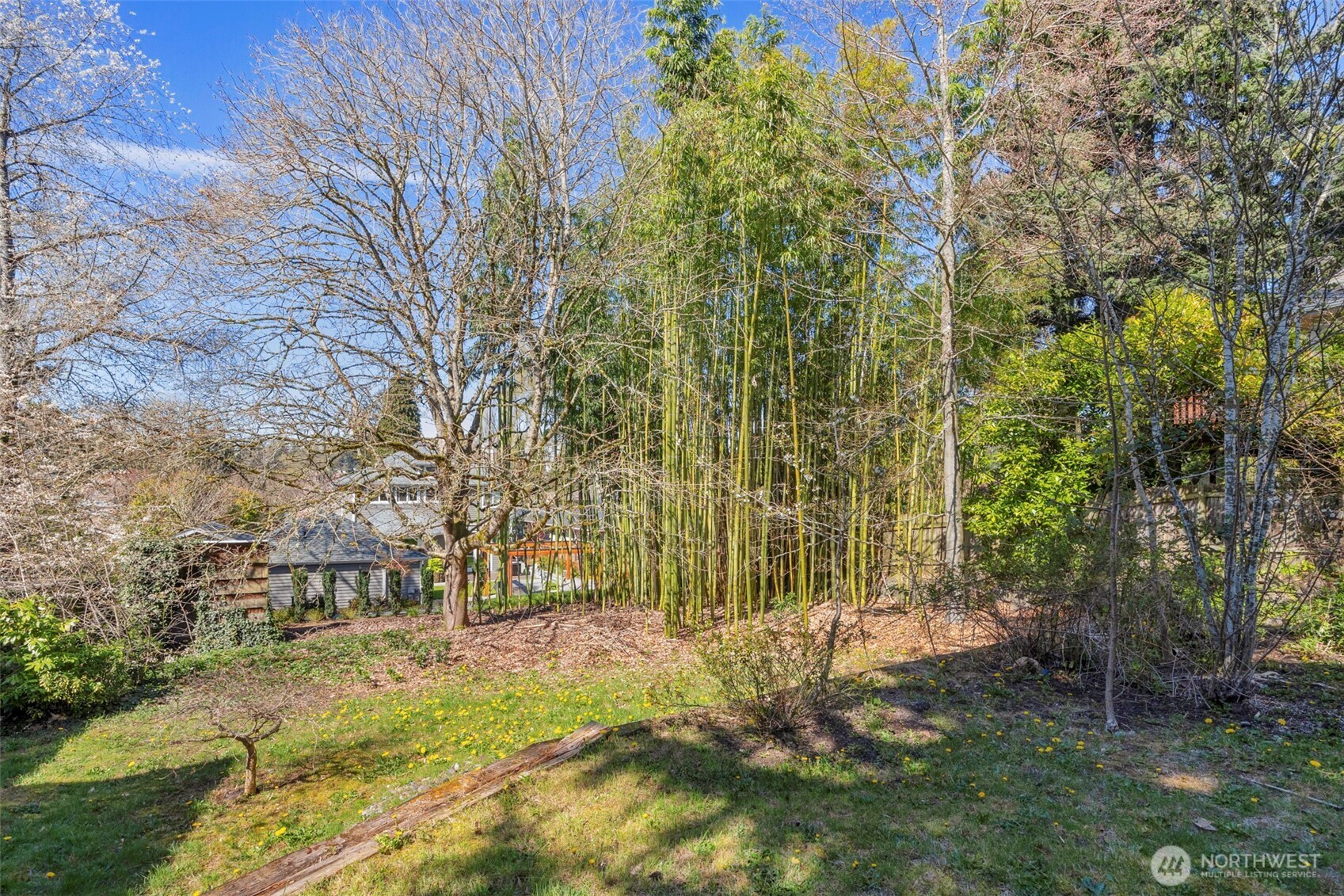 6825 43rd Avenue NE, Seattle, WA 98115