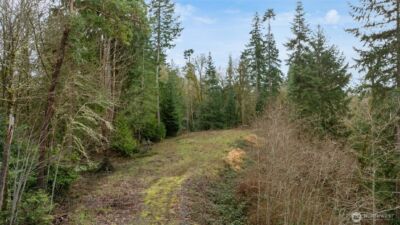 0 SE Olympiad Dr , Port Orchard, WA 98366 - Photo 13