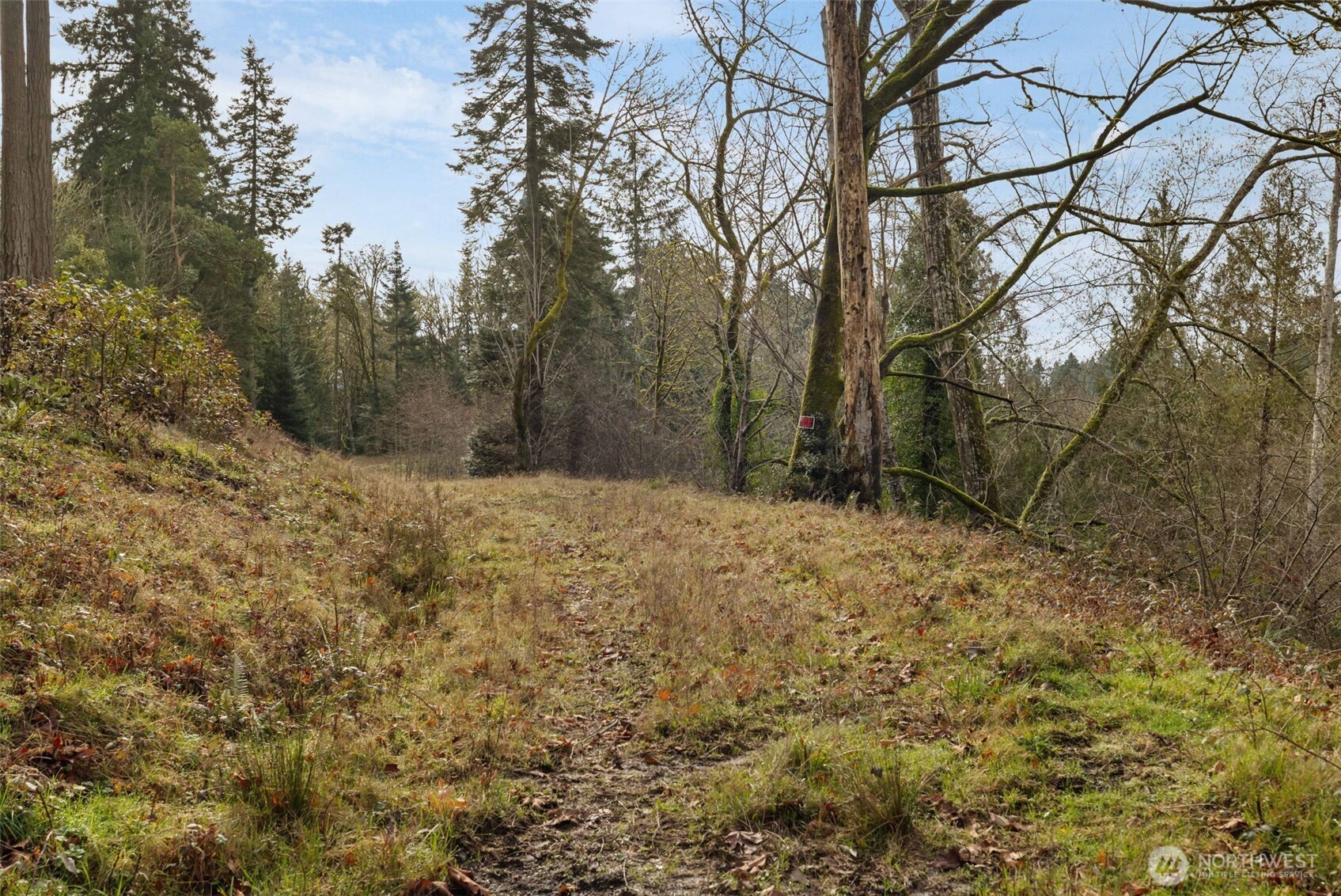 0 SE Olympiad Dr , Port Orchard, WA 98366