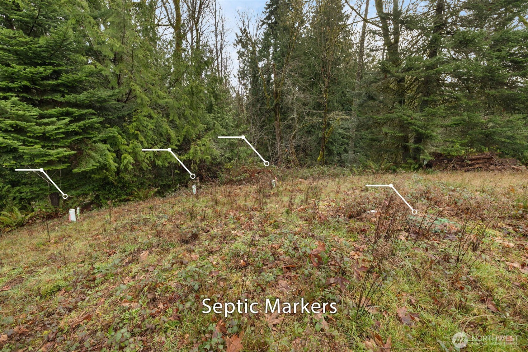 0 SE Olympiad Dr , Port Orchard, WA 98366