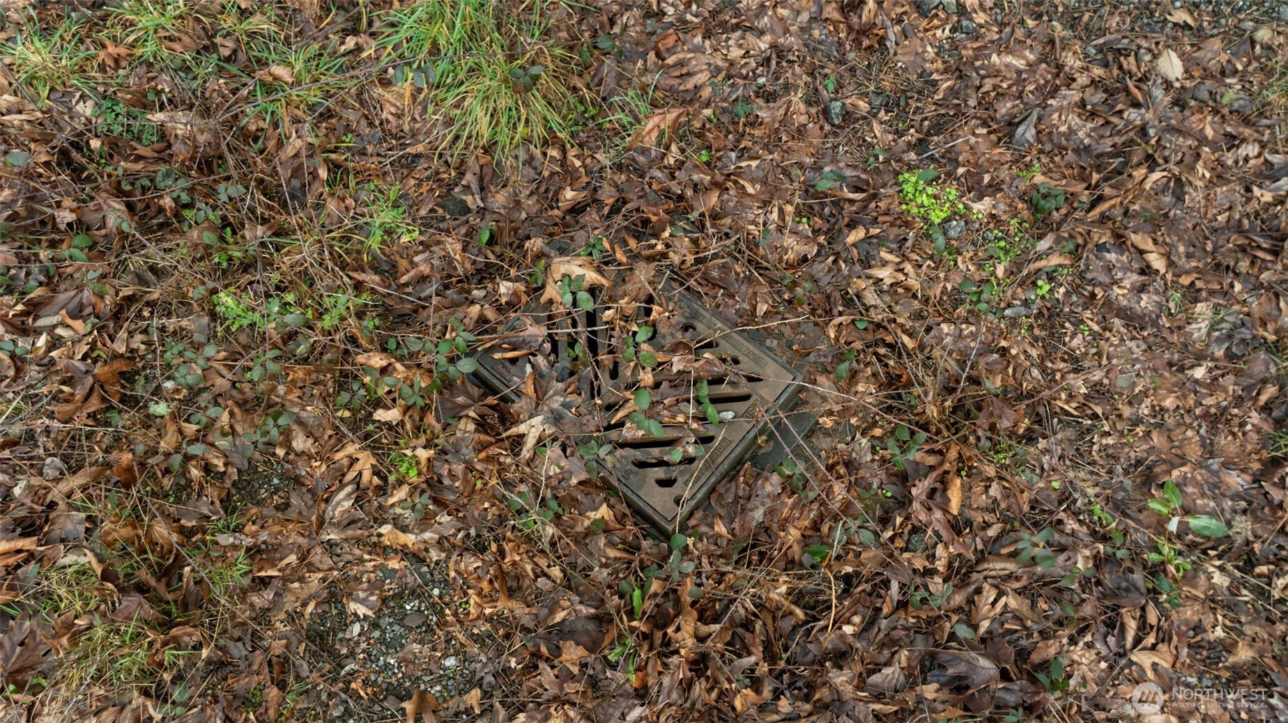 0 SE Olympiad Dr , Port Orchard, WA 98366